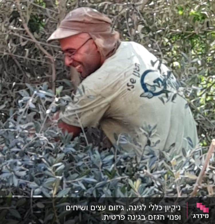 אדם גוזם ענפי עץ בגינה